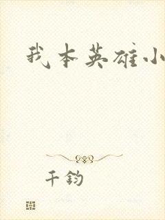 我本英雄小说