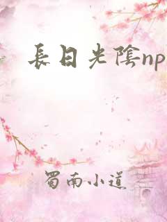 长日光阴np