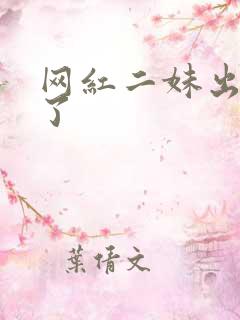 网红二妹出啥事了