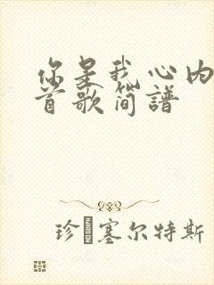 你是我心内的一首歌简谱