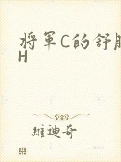 将军C的舒服么H