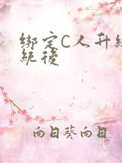 绑定C人升级系统后