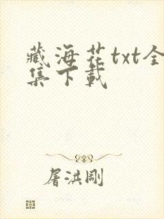 藏海花txt全集下载