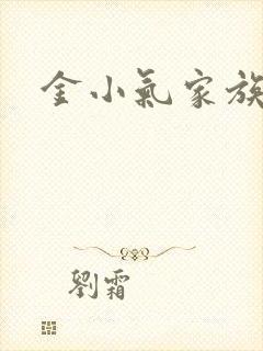 金小气家族小说