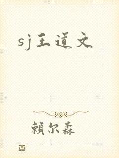 sj王道文