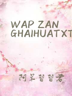 WAP ZANGHAIHUATXT