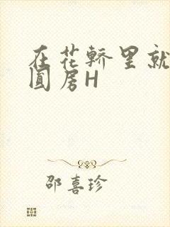 在花轿里就开始圆房H