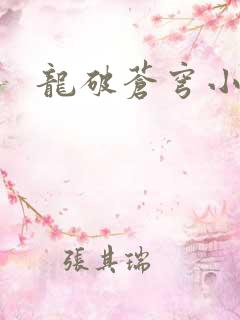 龙破苍穹小说