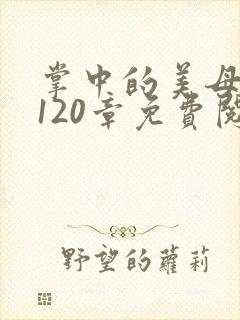 掌中的美母版主120章免费阅读