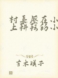 村长压在小娥身上耕耘的小说