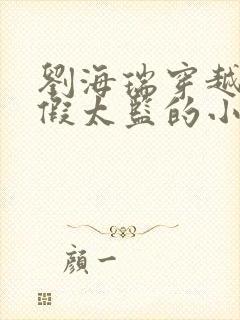 刘海瑞穿越后宫假太监的小说