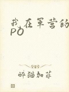 我在军营的日子PO
