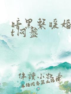 暗黑系暖婚txt网盘