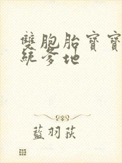 双胞胎宝宝的总统爹地