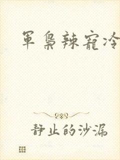 军枭辣宠冷妻
