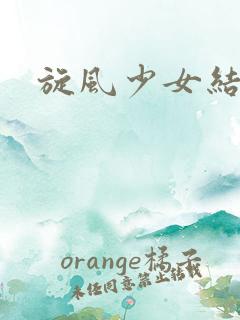 旋风少女结局