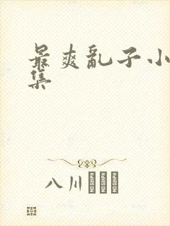 最爽乱子小说合集