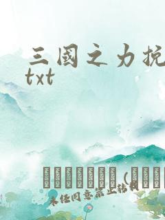 三国之力挽狂澜txt