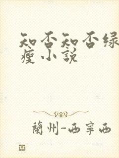知否知否绿肥红瘦小说