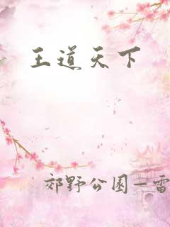 王道天下