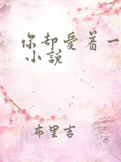 你却爱着一个他 小说