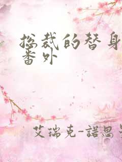 总裁的替身前妻番外