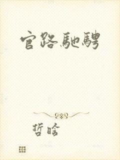 官路驰骋