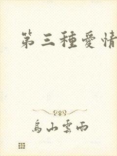 第三种爱情续集
