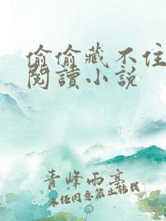 偷偷藏不住免费阅读小说