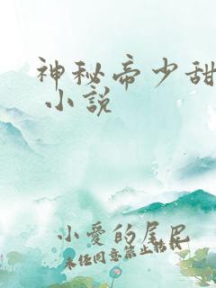 神秘帝少甜宠妻 小说