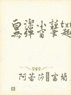 白洁小说txt无弹窗笔趣阁