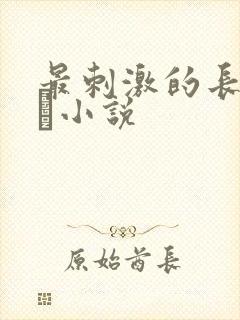 最刺激的长篇乱惀小说