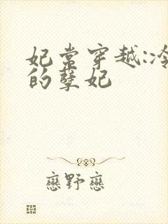 妃常穿越:冷王的孽妃