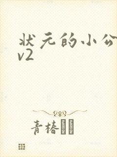 状元的小公主1v2