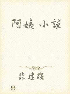 阿姨 小说