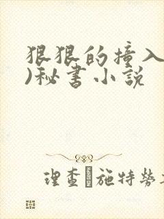 狠狠的撞入(h)秘书小说