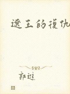 辽王的复仇小妾