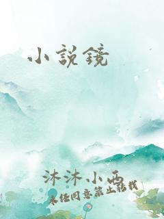 小说镜