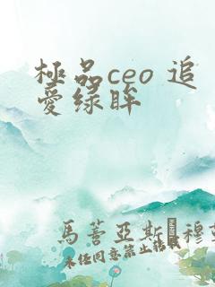 极品ceo 追爱绿眸