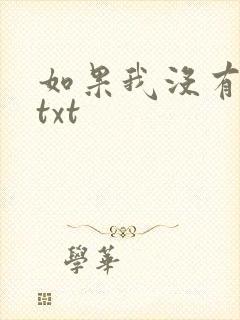 如果我没有爱过txt