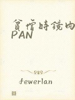 贫僧时镜肉补全PAN
