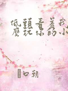 低头看着我是怎么玩你的小说