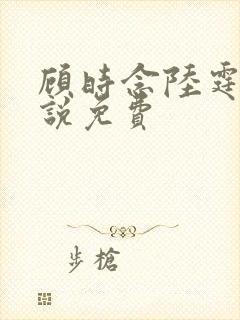 顾时念陆霆骁小说免费