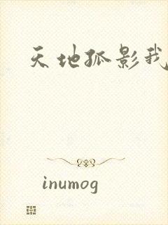 天地孤影我独行