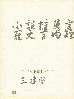 小说推荐言情甜宠文有肉短篇完结