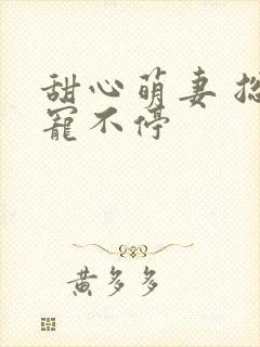 甜心萌妻 总裁宠不停