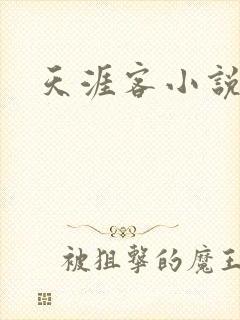 天涯客小说
