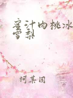 蜜汁肉桃冰糖炖雪梨