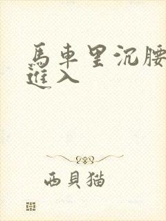 马车里沉腰缓缓进入