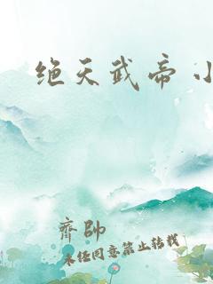 绝天武帝 小说